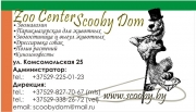 Zoo Center Scooby Dom. Зооуслуги Брест